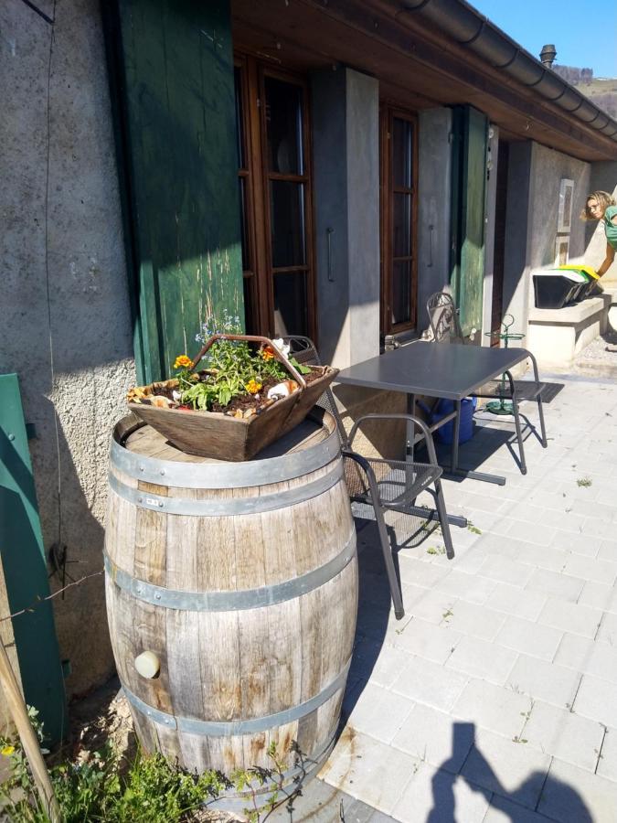 Charmante Maison Au Coeur Du Lavaux, Cully, Cuisine, Wifi, Les Echalas Holiday home Cully